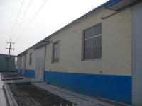 手机看片福利在线